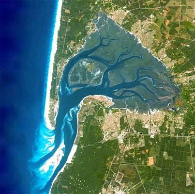 bassin maree basse satellite - Décret Arguin : Pourquoi ce n'est pas possible