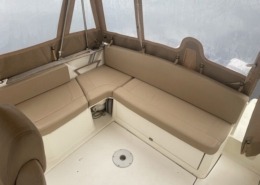 mini mini IMG 0381 260x185 - Cap Camarat 8.5 WA