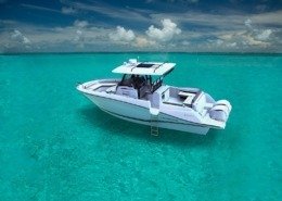 4431593c90cf7ed5499557d855b4a0b0 2 260x185 - Cap Camarat 10.5 CC