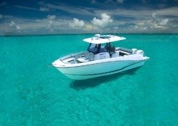 d4af432bc7aef94319759bab129c3e1d 260x185 - Cap Camarat 10.5 CC