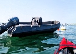 Whaly 500 1 260x185 - Whaly 500