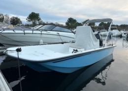 2 260x185 - Seaweed 535