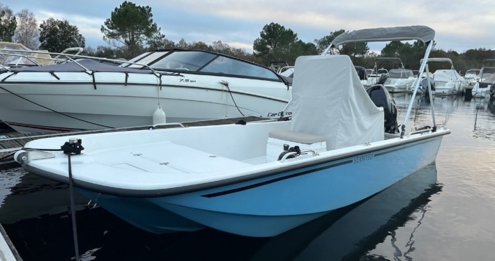 2 710x375 - Seaweed 535