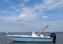 mini PXL 20240806 172549152.PORTRAIT.ORIGINAL 260x185 - Seaweed 535