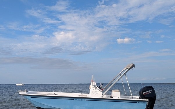 Seaweed 535 mini PXL 20240806 172549152.PORTRAIT.ORIGINAL 602x375 - Seaweed 535