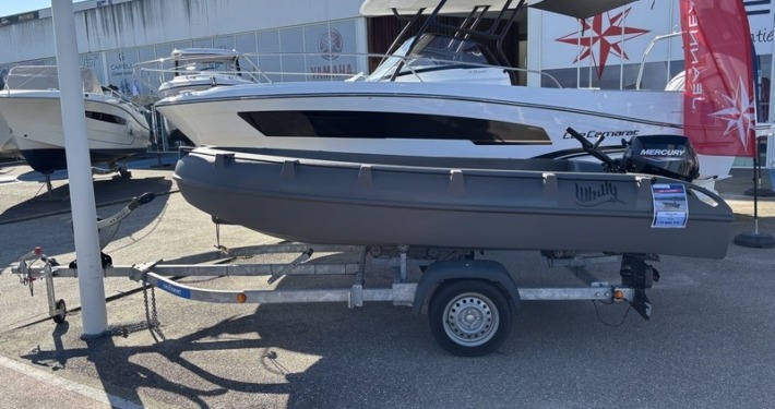 Whaly 380 6 710x375 - WHALY 380