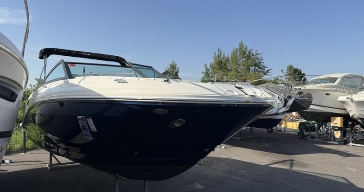 mini sea ray 250 1 1 710x375 - SEARAY 250 SDX