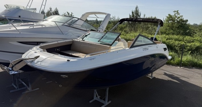 mini sea ray 250 4 1 710x375 - SEARAY 250 SDX