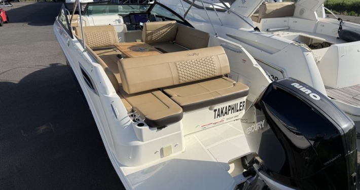 mini sea ray 250 5 1 710x375 - SEARAY 250 SDX