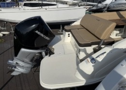 mini sea ray 250 7 1 260x185 - SEARAY 250 SDX