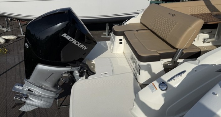 mini sea ray 250 7 1 710x375 - SEARAY 250 SDX