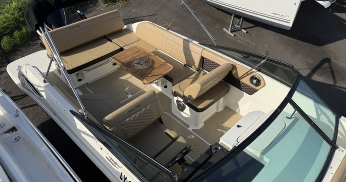 mini sea ray 250 10 1 710x375 - SEARAY 250 SDX