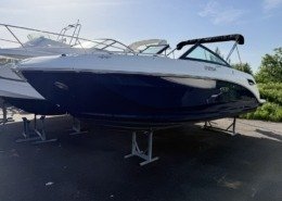 mini sea ray 250 2 1 260x185 - SEARAY 250 SDX