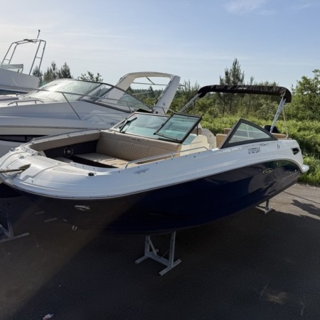 mini sea ray 250 4 450x450 - SEARAY 250 SDX