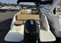 mini sea ray 250 6 1 260x185 - SEARAY 250 SDX
