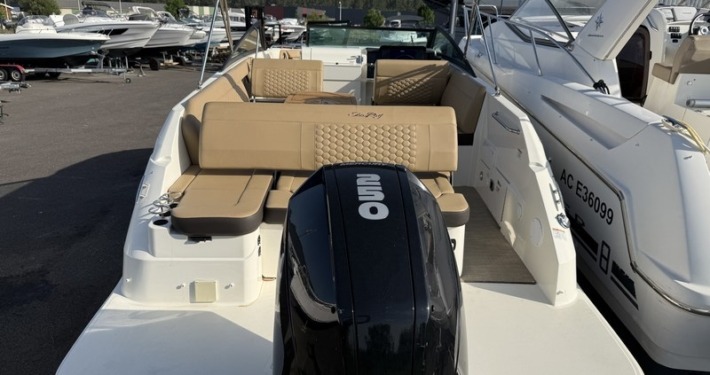 mini sea ray 250 6 1 710x375 - SEARAY 250 SDX