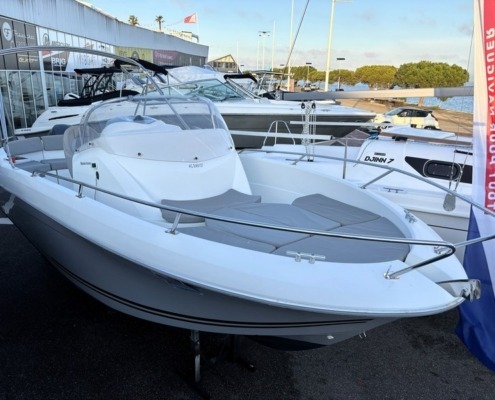 Flyer 650 15 495x400 - Bateaux &agrave; moteurs