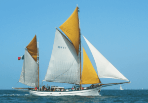 Bateaux arcachon 06 300x208 - SALON NAUTIQUE D&rsquo;ARCACHON