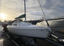 Blue Djinn IMG 0016 Moyenne 2 260x185 - Blue Djinn