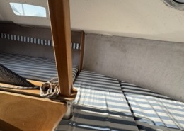 Blue Djinn IMG 0103 Moyenne 260x185 - Blue Djinn