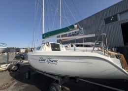 Blue Djinn IMG 0109 Moyenne 260x185 - Blue Djinn