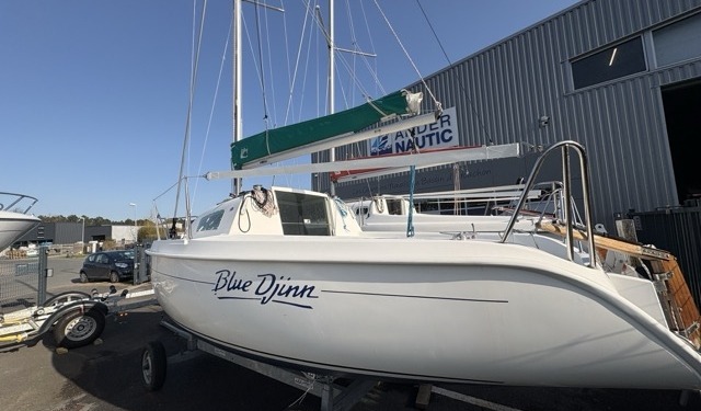 Blue Djinn IMG 0109 Moyenne 640x375 - Blue Djinn