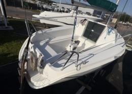 Blue Djinn IMG 0110 Moyenne 260x185 - Blue Djinn