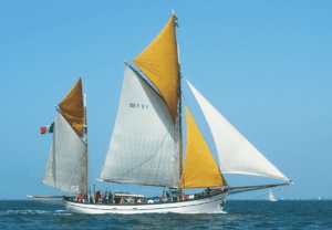 Bateaux arcachon 06 300x208 - SALON NAUTIQUE D&rsquo;ARCACHON