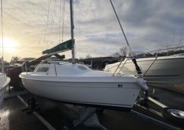 Blue Djinn IMG 0016 Moyenne 2 260x185 - Blue Djinn