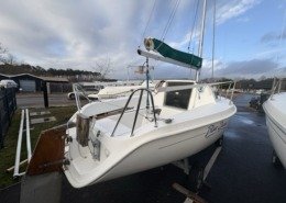 Blue Djinn IMG 0023 Moyenne 260x185 - Blue Djinn