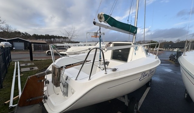 Blue Djinn IMG 0023 Moyenne 640x375 - Blue Djinn