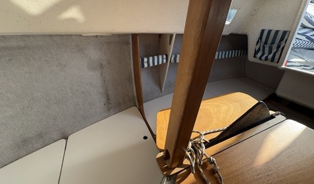 Blue Djinn IMG 0100 Moyenne 640x375 - Blue Djinn