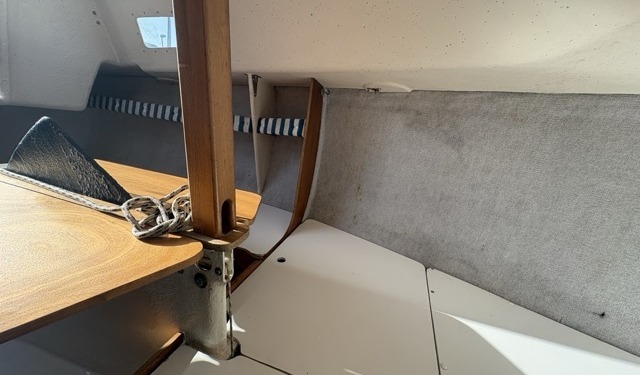 Blue Djinn IMG 0101 Moyenne 640x375 - Blue Djinn