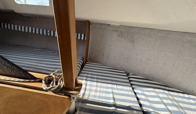 Blue Djinn IMG 0103 Moyenne 640x375 - Blue Djinn