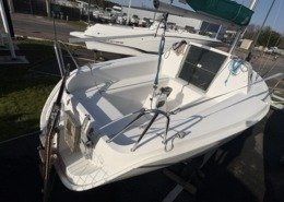 Blue Djinn IMG 0110 Moyenne 260x185 - Blue Djinn