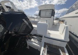 Merry Fisher 755 Marlin IMG 0172 Moyenne 260x185 - Merry Fisher 755 Marlin