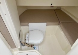 SEARAY 250 SDX 6 260x185 - SEARAY 250 SDX