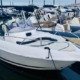 Cap-Ferret-572